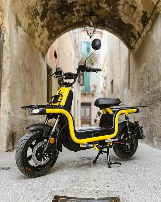 Licence to Thrill: Moped, Scooter & Motorbike Licensing in South Australia