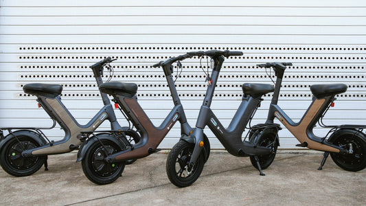 Benzina Zero x Knotwood Collaboration