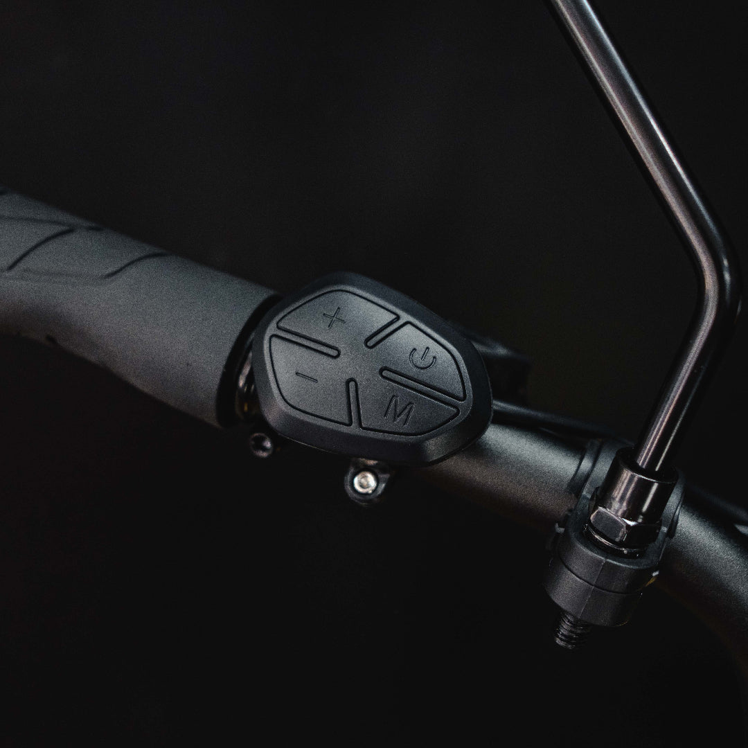 Benzina zero hauler cargo e-bike. kids seat. electric bike. step through frame. lightweight. delivery e-bike.
