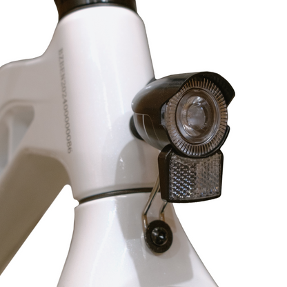 Benzina Zero BENDeR Electric Bike