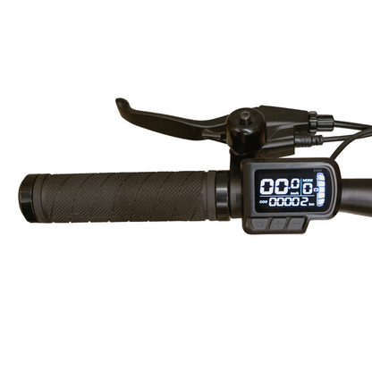 Benzina Zero BENDeR Electric Bike