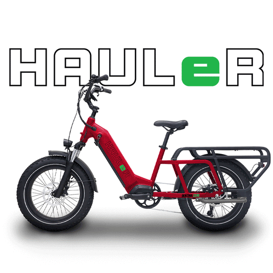 Benzina zero hauler cargo e-bike. kids seat. electric bike. step through frame. lightweight. 