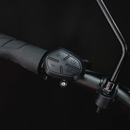 Benzina zero hauler cargo e-bike. kids seat. electric bike. step through frame. lightweight. delivery e-bike.