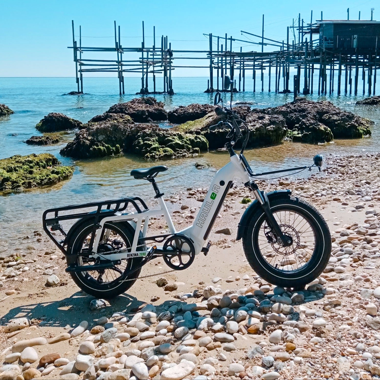 benzina zero hauler cargo electric bike kids seat
