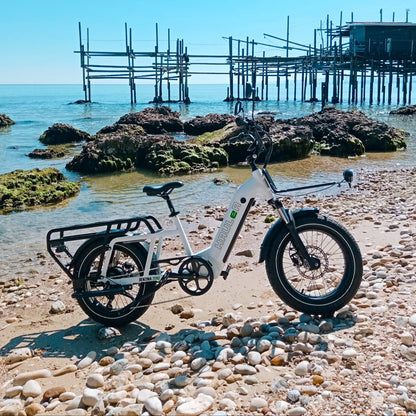 benzina zero hauler cargo electric bike kids seat